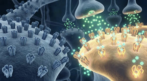 A 3D medical illustration of GABA neurotransmitters firing between synapses in the brain, representing the calming effect of Somnii's magnesium glycinate used as a maternal wellness ingredient.