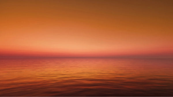 A vibrant orange and golden sunrise over a calm ocean, symbolizing the mental clarity and cellular energy support provided by Somnii’s clean creatine for mothers.