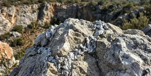 Raw silver magnesium ore embedded in natural rock, illustrating the mineral source of high-quality magnesium used in Somnii maternal wellness supplements.